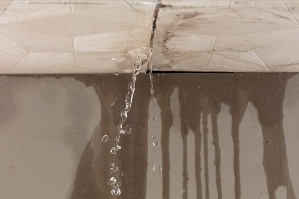 Professional Burst Pipe Cleanup technician working in Savoy, TX